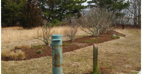 Making Songbird Habitat